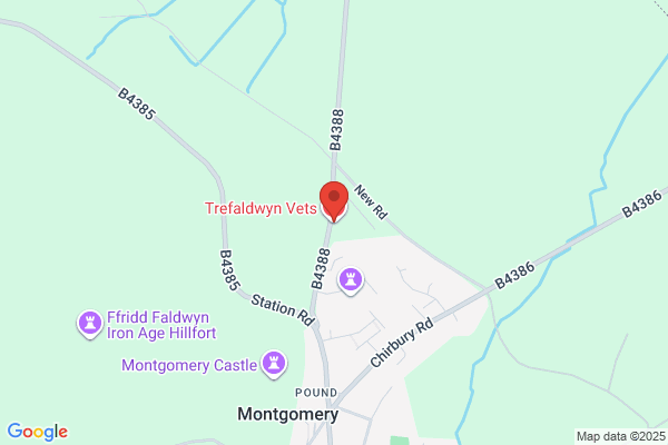 Trefaldwyn Vets