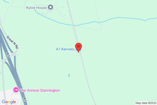 A1 Kennels