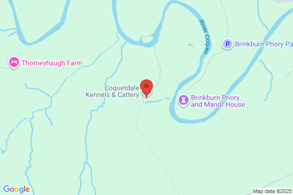 Coquetdale Kennels & Cattery