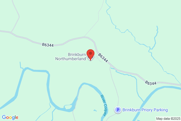 Emmerson Burn