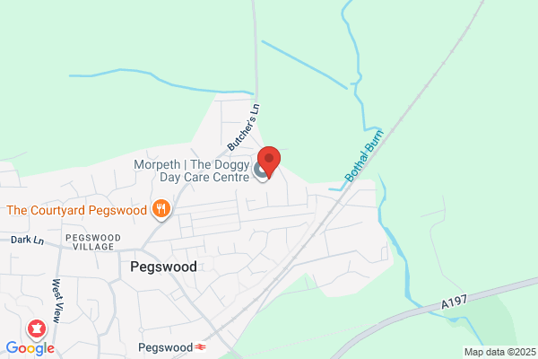 The Pedigree Pets Club Ltd
