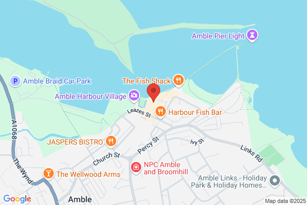 Alliance Fish (Amble)