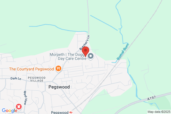 Light & Shade