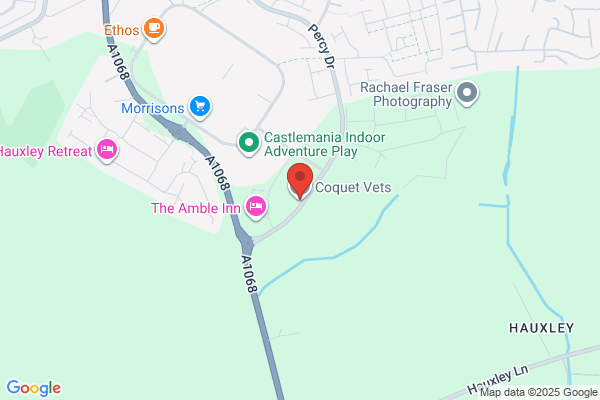 Alnorthumbria Veterinary Group - Amble CLOSED