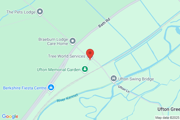 Tree World Services Ltd