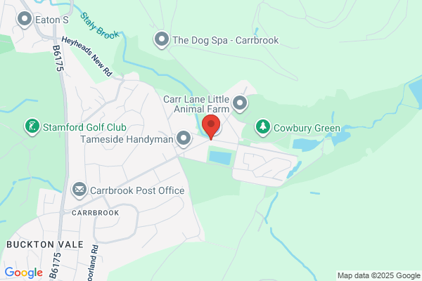Buckton Vale Club