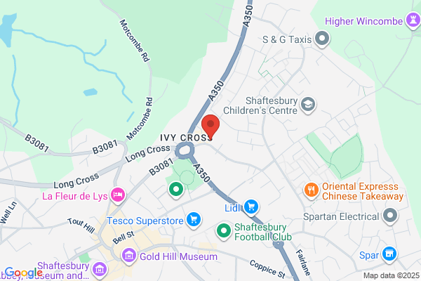 Domino's Pizza - Shaftesbury