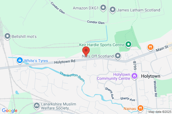 Central Tree Surgeons