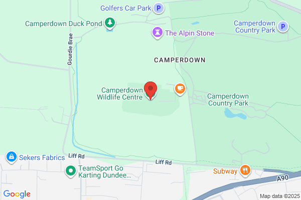 Camperdown