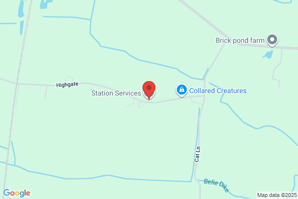 Station Courier Services