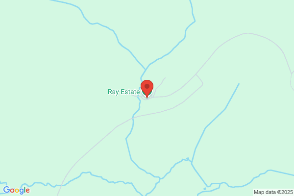 Ray Estate