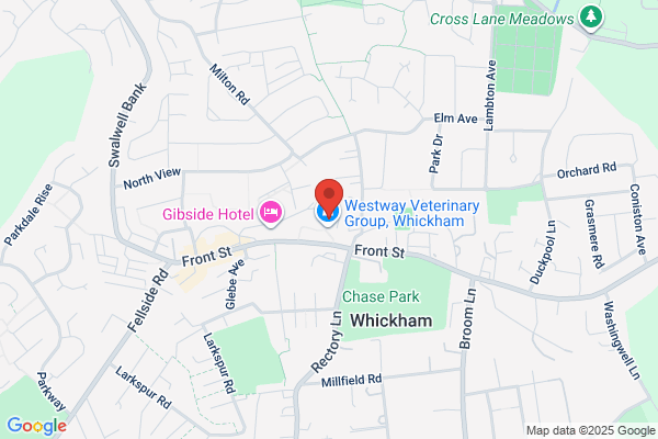 Whickham Library