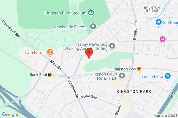 Kingston Park Primary School