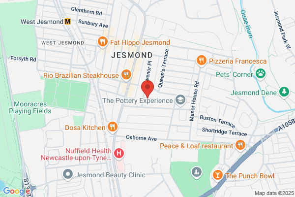 Jesmond Tree Surgeons
