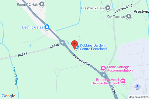 Alnorthumbria Veterinary Group - Ponteland