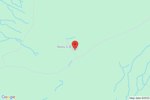 G B Rees