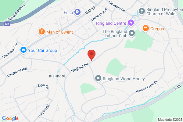 Newport East Constituancy Labour Party