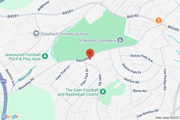 Gaer Park