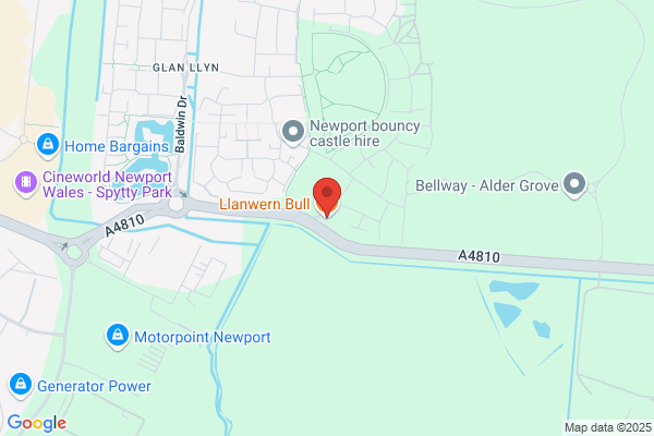 Llanwern Bull