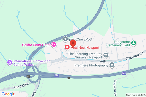 Newport Roofing Specialists