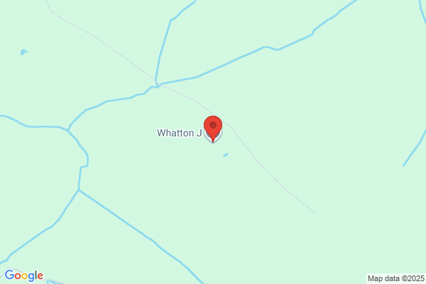 J Whatton