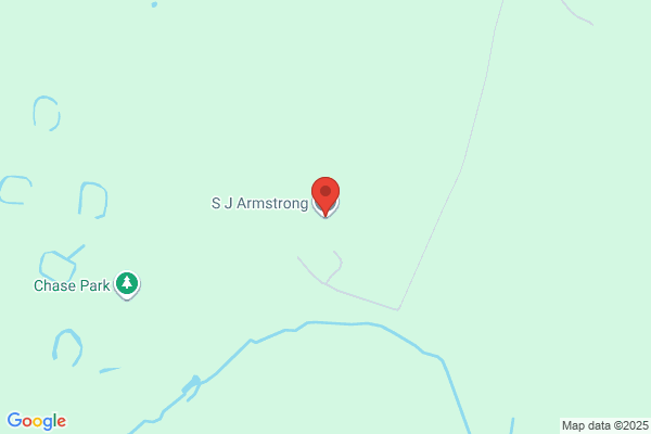 S J Armstrong