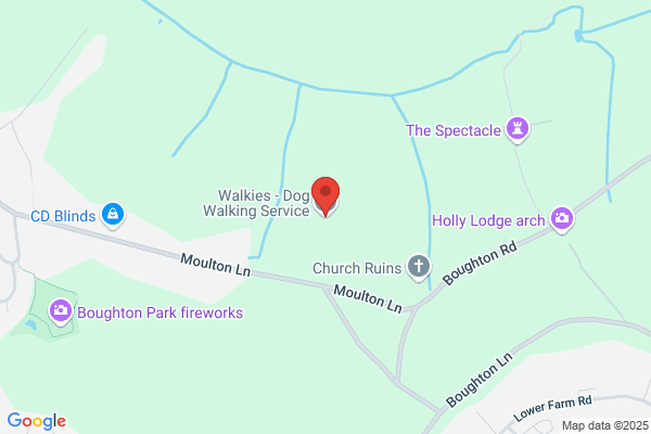 Welford Walkies & Pet Services