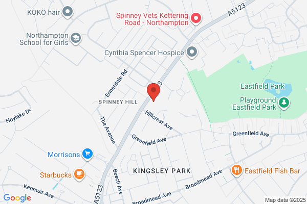 The Spinney Hill
