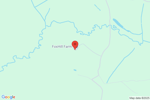 Fox Hill Farm Equestrian Centre