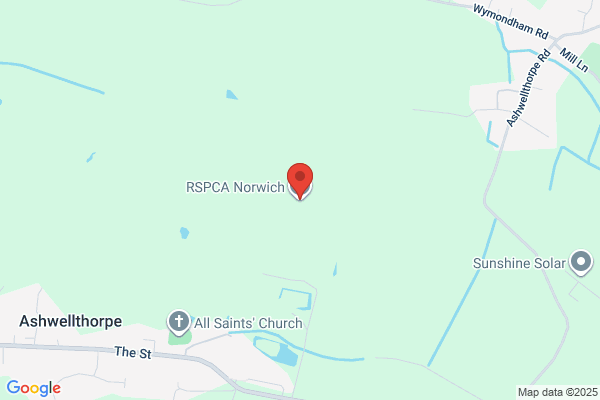 RSPCA