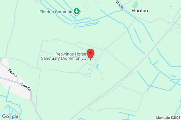Redwings Horse Sanctuary