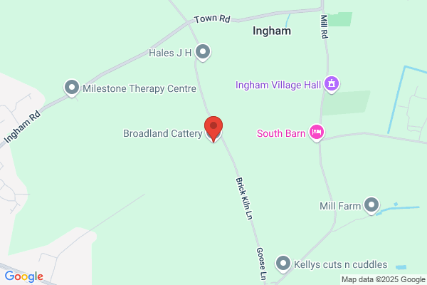 Broadland Cattery