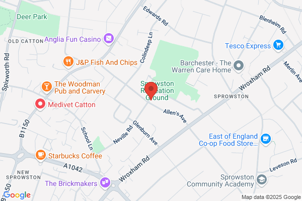Shaw Carpet Services