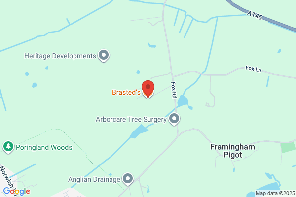 Brasted's