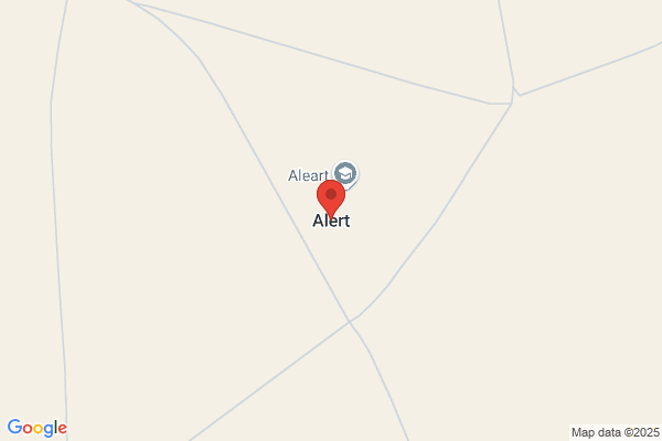 Alert