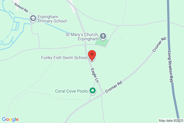 Funky Fish Swim School