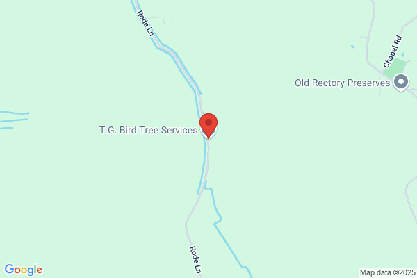 Legend Tree Care