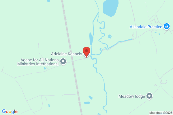 Adelaine Kennels (Stoneyford)