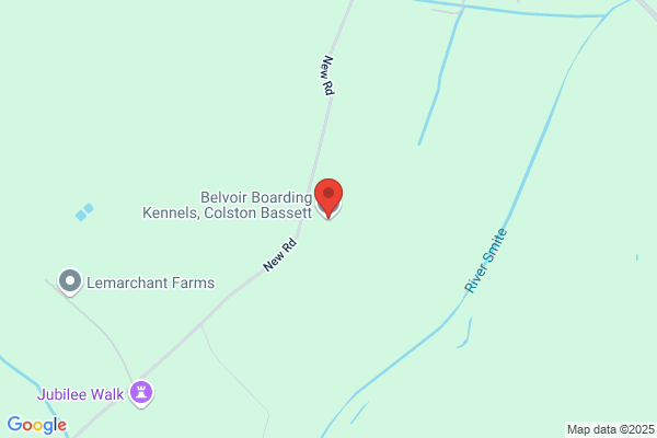 Belvoir Boarding Kennels