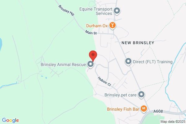 Brinsley Builders