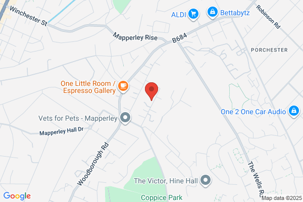 Newton Electrical Services