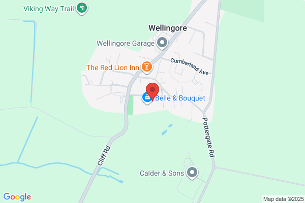 Dorsia FInance