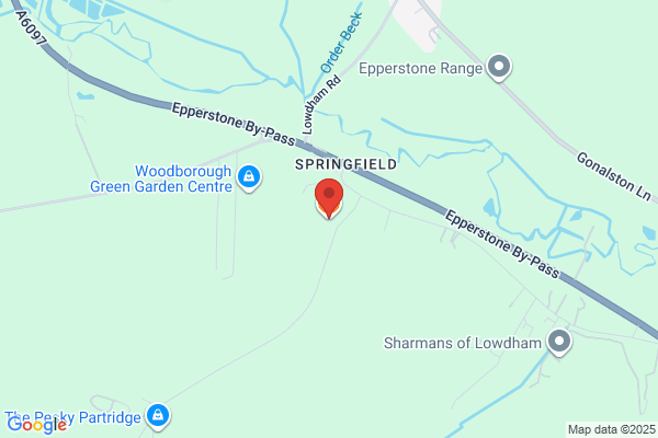 The Springfield
