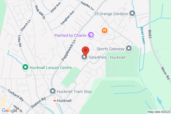 Co-op Food - Hucknall - Papplewick Lane