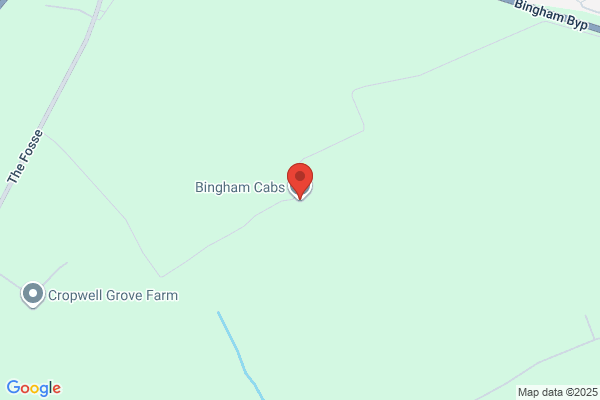 Bingham Cabs