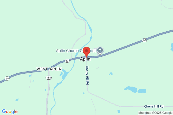 Aplin