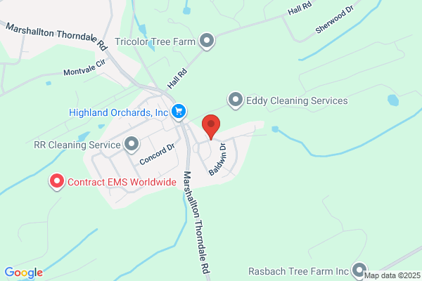 A C Tree Services