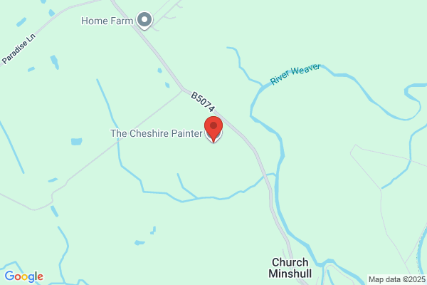 The Cheshire Painter