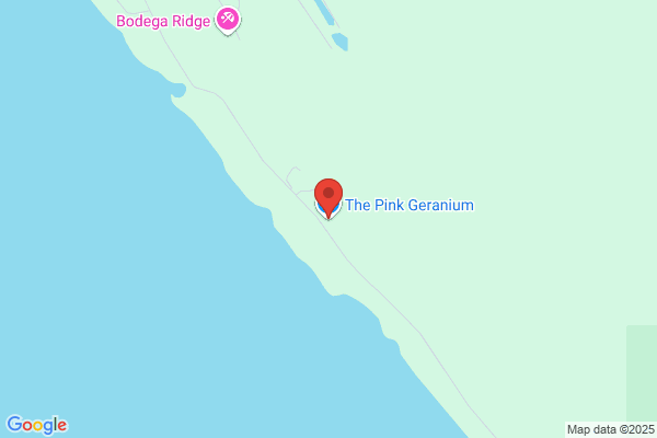 The Pink Geranium Cafe