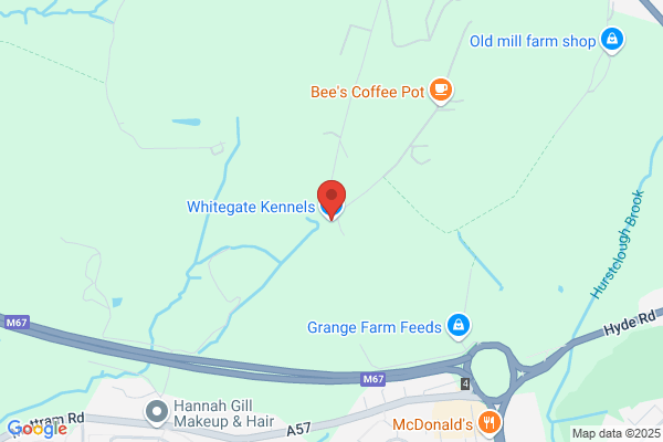Whitegate Cattery